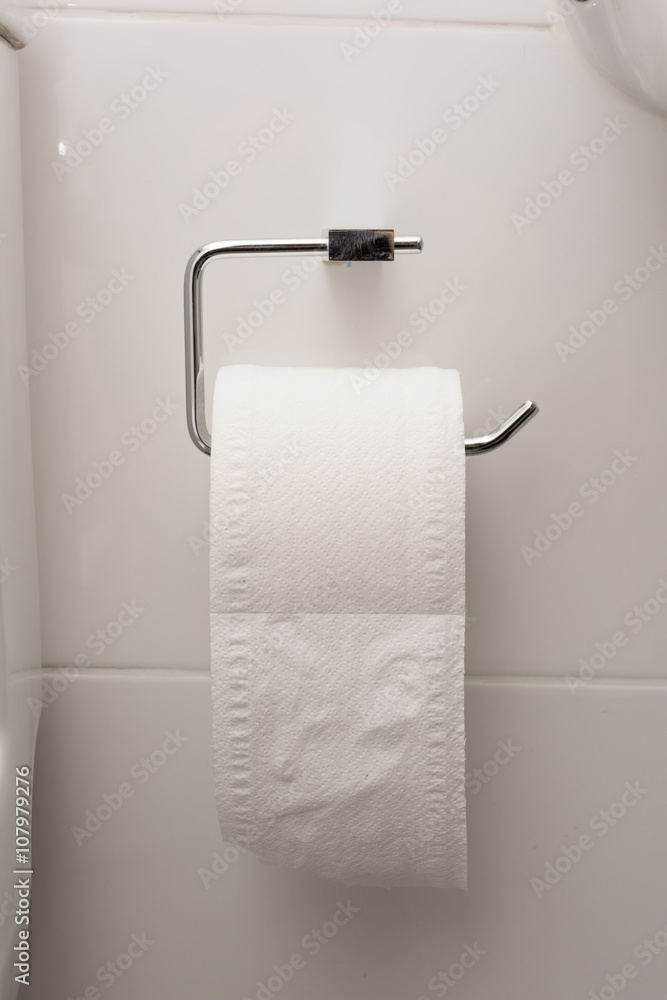 Obraz premium Toilet Paper