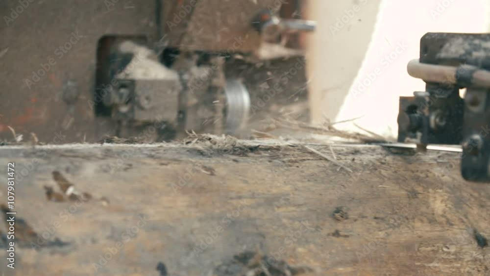 wood cutting machine board log in a sawmill wood cutting machine board log in a sawmill