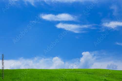 青空と草原