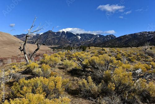 Great Sand Dunes National Park - Wilderness photo