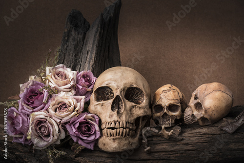 Still life painting photography with three human skulls and roses on timber b...