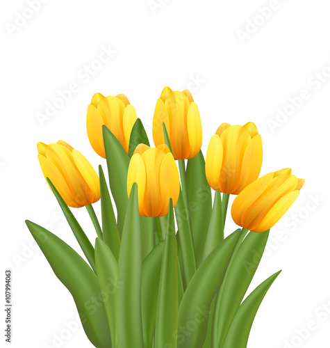 Beautiful Bouquet with Yellow Tulips Flowers 
