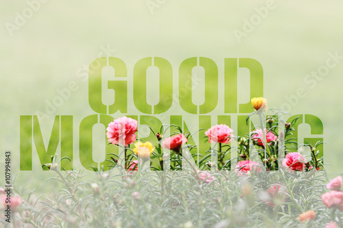 Good morning on colorful flower background