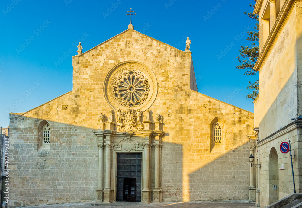 Fototapeta premium ancient seaside town on the coast of Apulia
