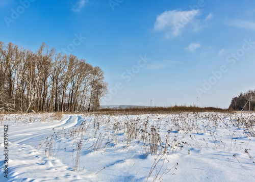 Snow-covered winter landscape to Moscow area
