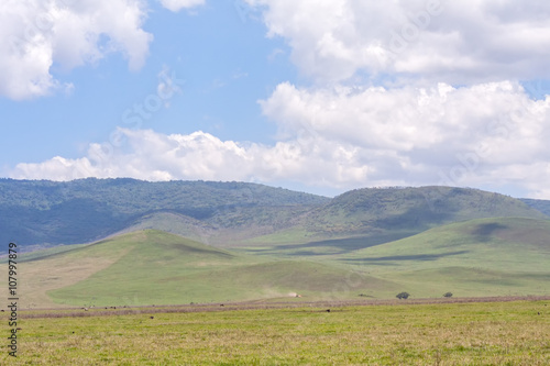 View on huge Ngorongoro caldera (extinct volcano crater) from within against blue sky background. Great Rift Valley, Tanzania, East Africa. 