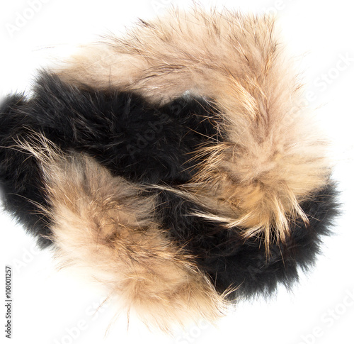 collar black and brown fur on a white background