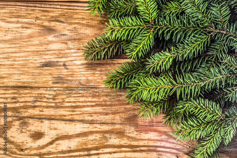 Green christmas tree on wooden boards Green christmas tree on wooden boards