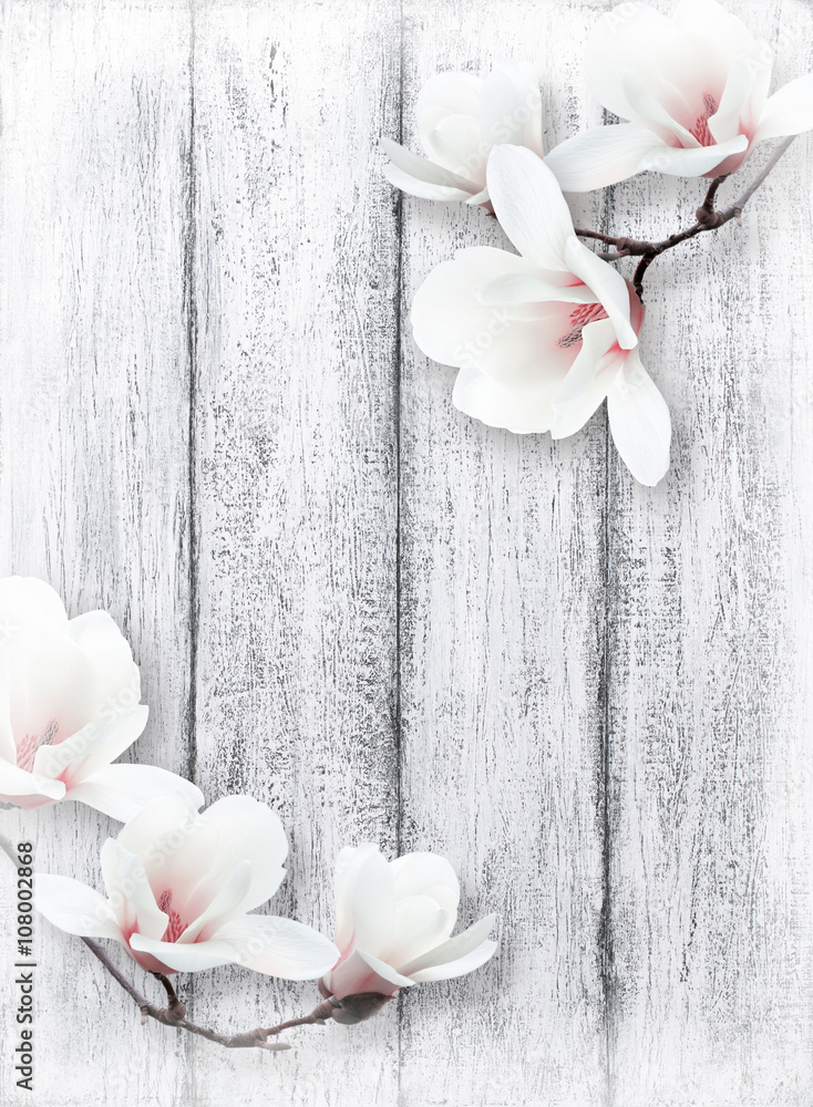 Obraz premium Magnolia flowers on background of shabby wooden planks