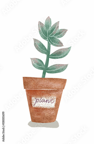 植物と植木鉢