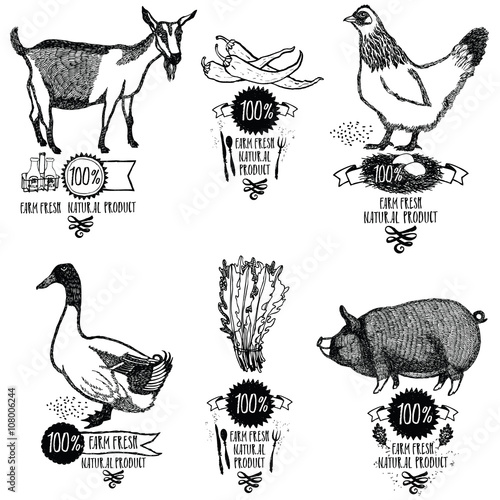 Set Farm Fresh Natural product Chicken Goat Duck Pig photo