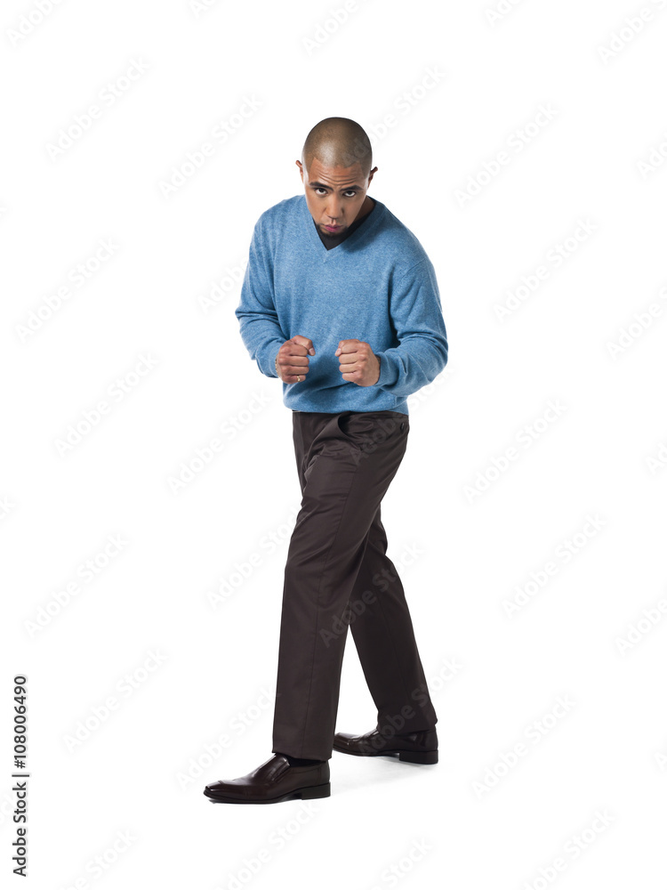 Fototapeta premium african american man in fighting pose.