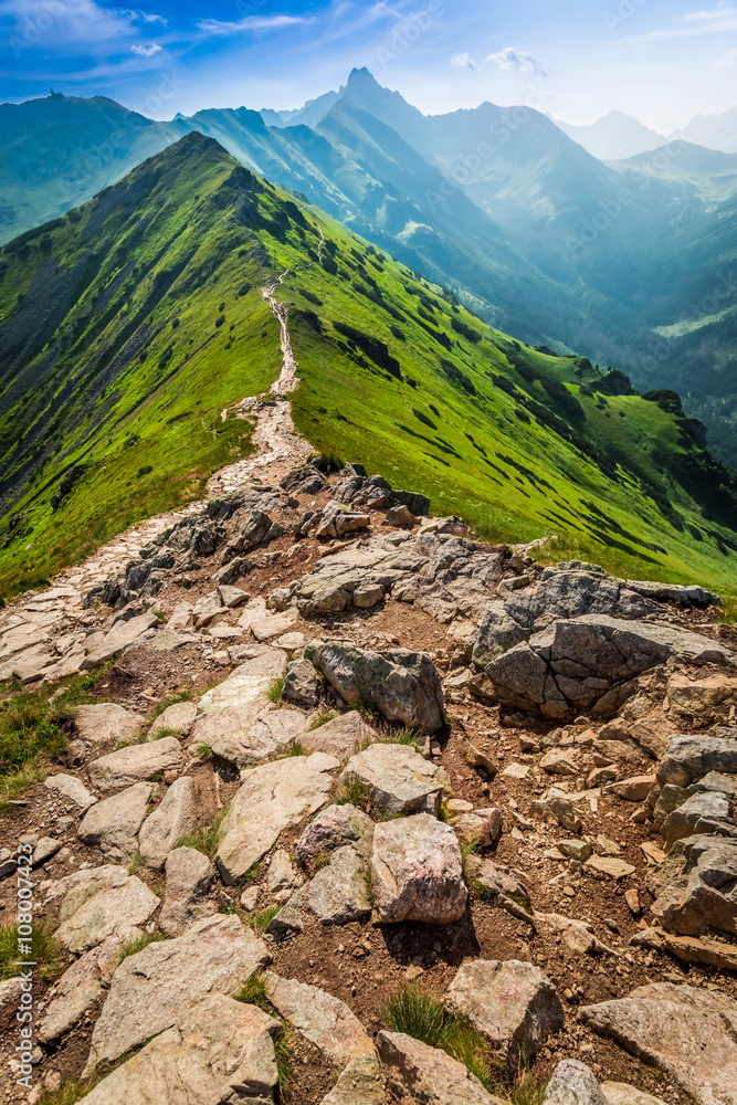 Naklejka premium Footpath in the mountains, Poland