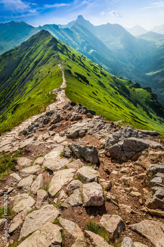 Obraz na płótnie Footpath in the mountains, Poland w salonie