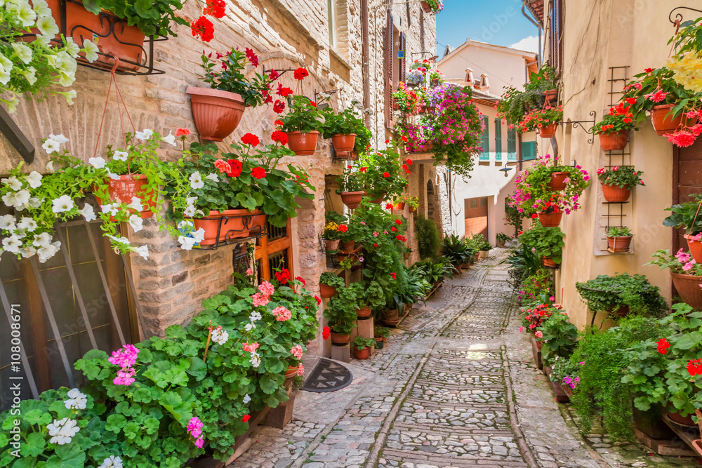 Fototapeta premium Małe miasteczko w słoneczny dzień, Włochy, Umbria