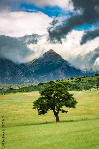 Foto One tree on background of mountains in Umbria, Italy