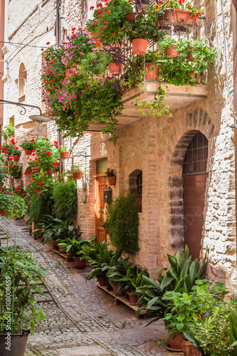 Fototapeta Naklejka Na Ścianę i Meble -  Full of flower streer in small town, Italy, Umbria