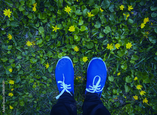 blue moccasins on a flowering meadow