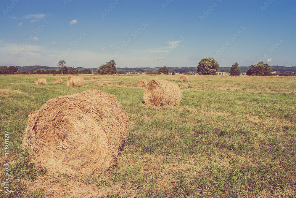 Hay bales on field, landscape