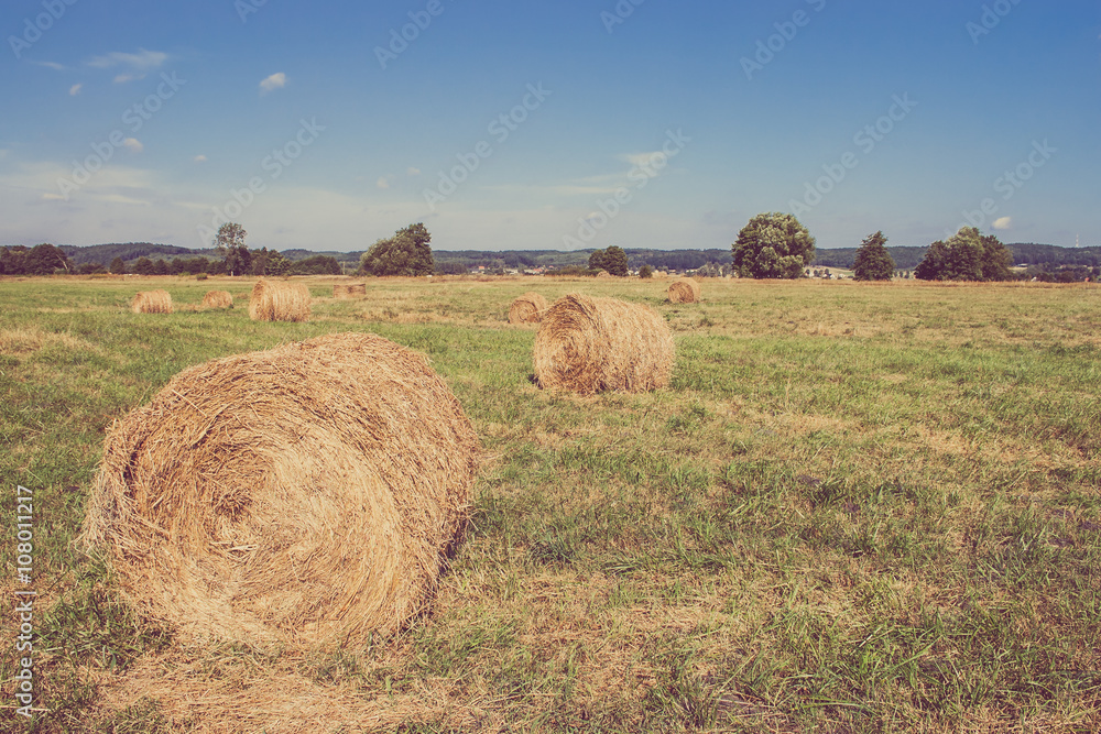 Hay bales on field, landscape Hay bales on field, landscape