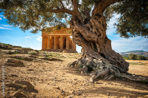 Tableau sur toile Agrigento - Valle dei templi
