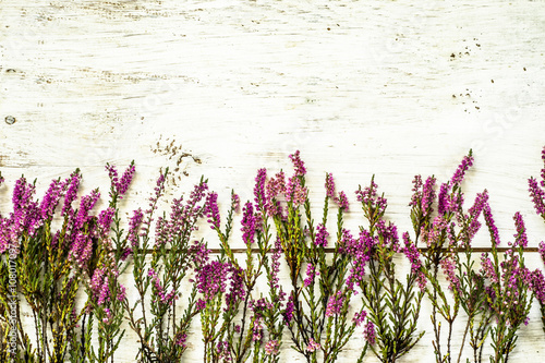 Flowers of heather in purple color on rustic wood background