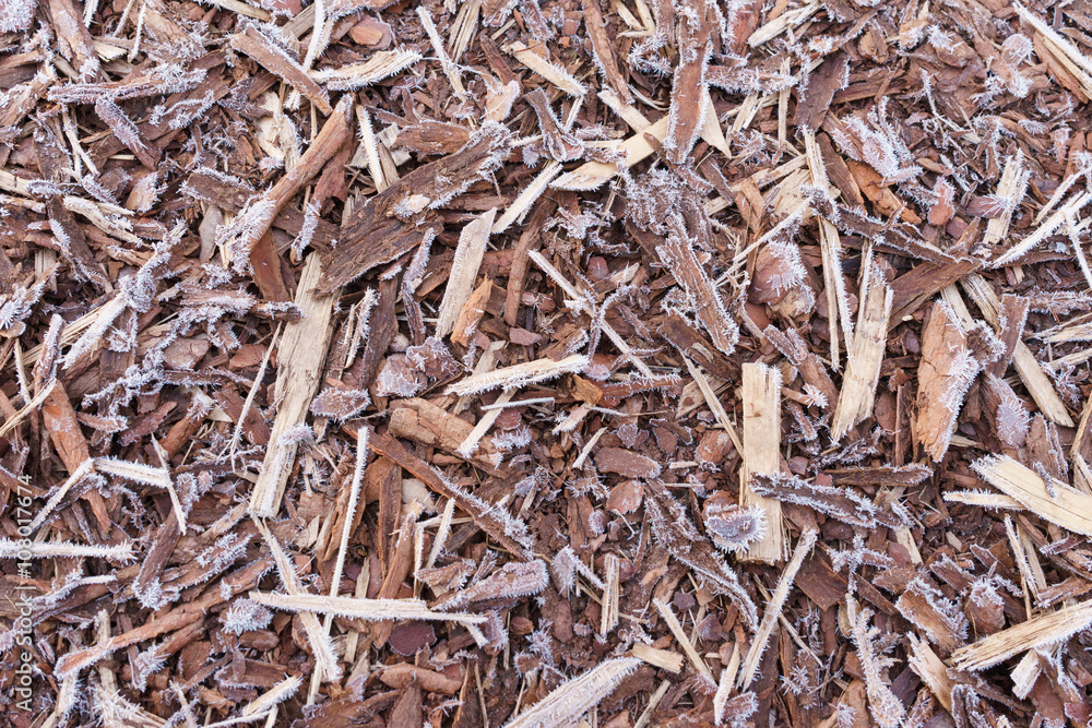 Natural bark covered by morning frost Natural bark covered by morning frost
