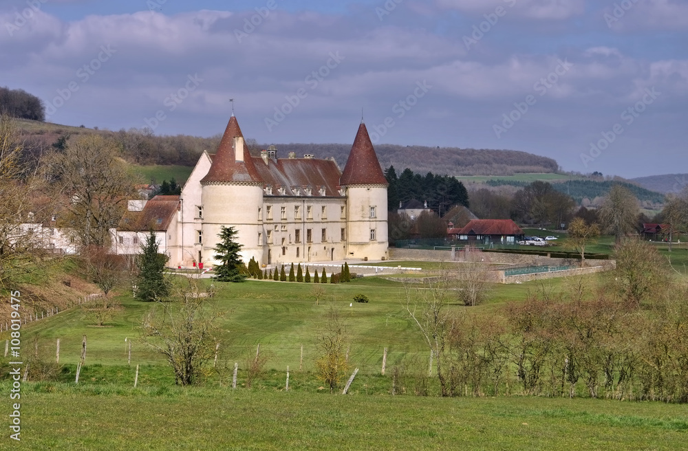 Chailly-sur-Armancon Chateau - Chateau Chailly-sur-Armancon in France