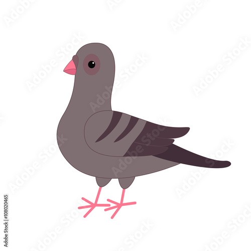 Gray Pigeon Dove bird. Cute cartoon character on white background.  Isolated. Pigeon icon Flat design Stock Vector | Adobe Stock