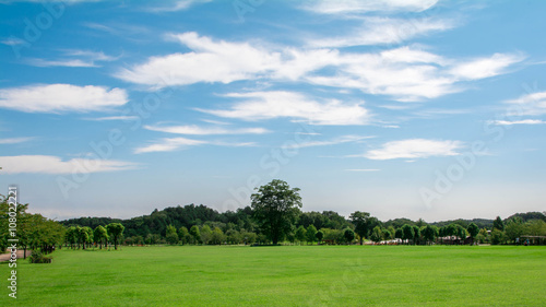 青空と芝生の公園