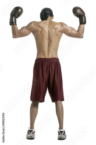 back shot male boxer