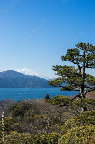 Shore of Lake Ashi