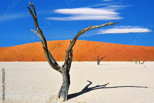 Deadvlei  Sossusvlei. Namibia