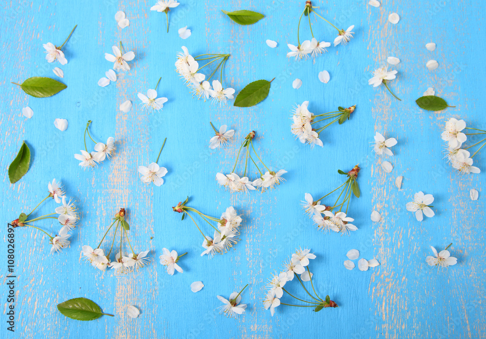 White flowers of cherry closeup