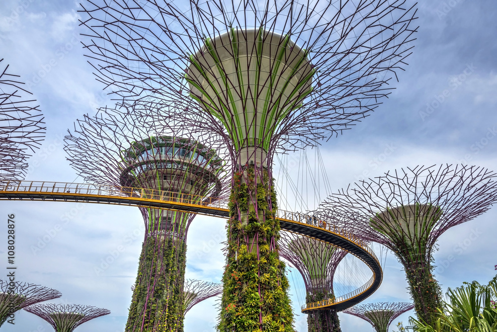 Fototapeta premium Beautiful Singapore gardens by the bay
