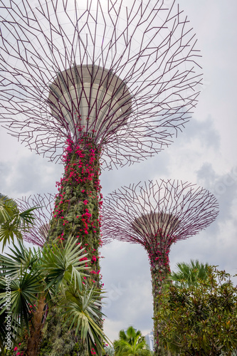 Gardens by the bay  Singapore