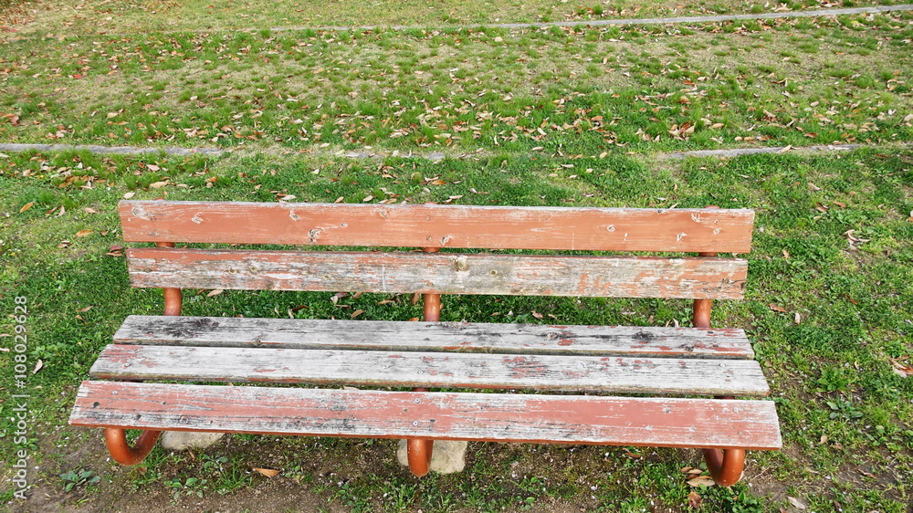 芝生の上のベンチ