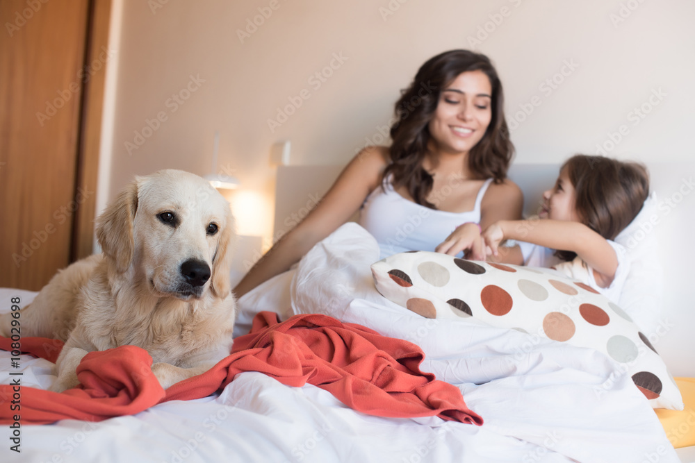 Family with dog in the bed - Focus on dog Family with dog in the bed - Focus on dog