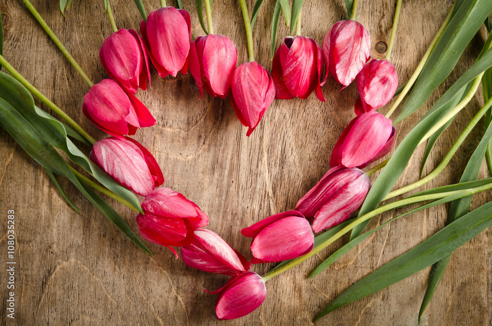 The heart-shaped frame of fresh tulips is laying on an old rusti