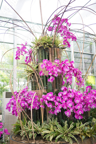 Wallpaper Mural pink orchid in the indoor garden Torontodigital.ca