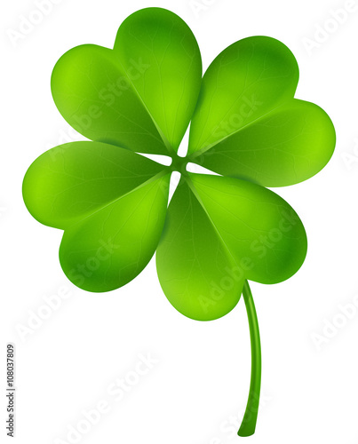 Clover vector illustration.