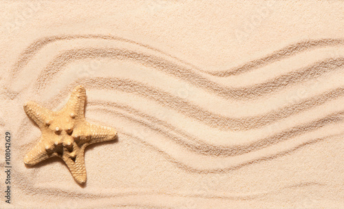 Starfish on sand with marks of waves