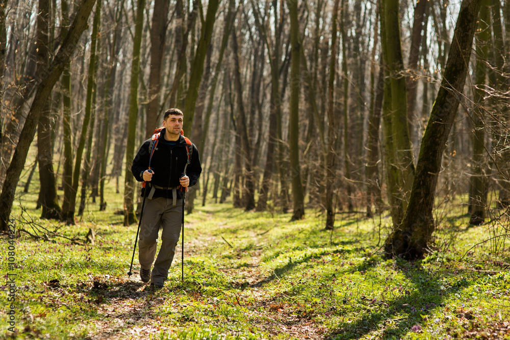 Male hiker looking to the side walking in forest Male hiker looking to the side walking in forest