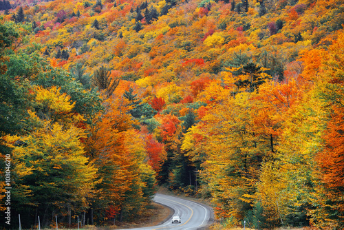 Highway and Autumn foliage