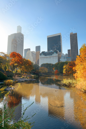 Fototapeta Naklejka Na Ścianę i Meble -  Central Park Autumn