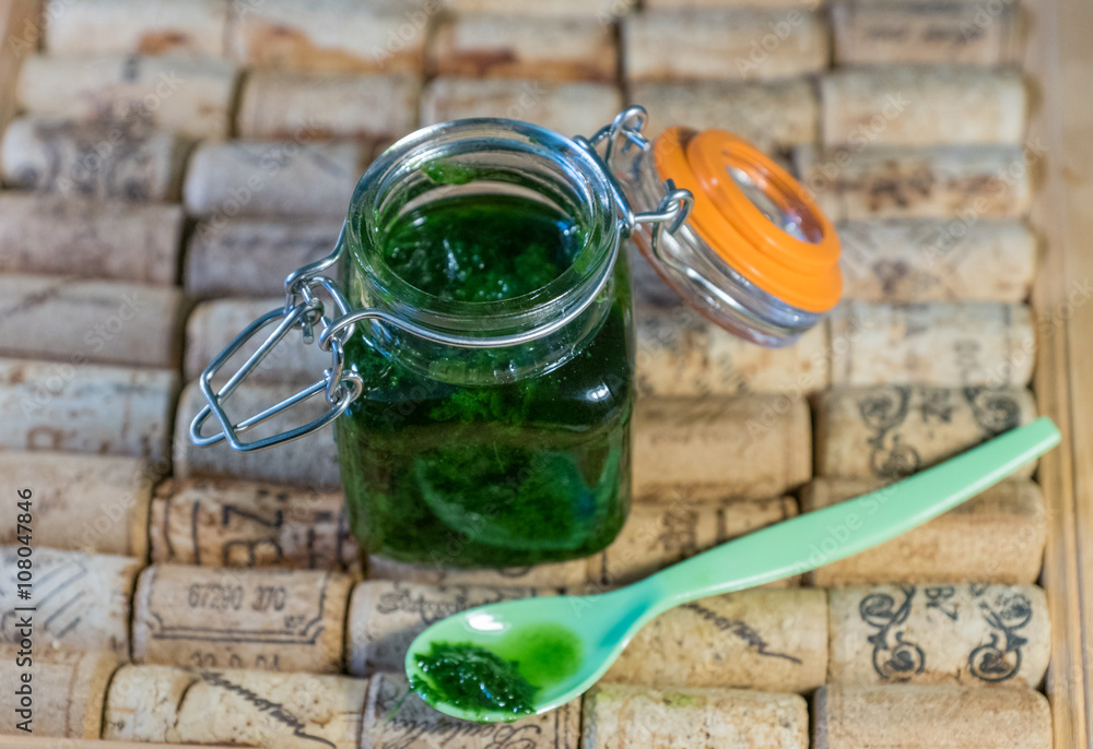 Bärlauchpesto selbstgemacht