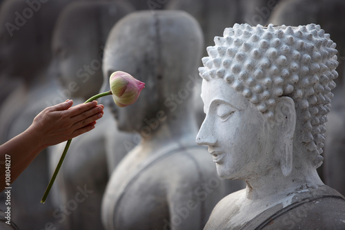 hand respect to buddha image photo