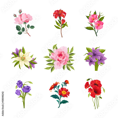 Fototapeta Naklejka Na Ścianę i Meble -  Garden Flowers Set