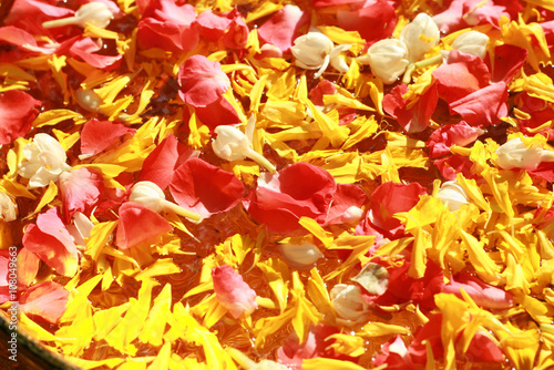 Colorful petals floating on water in golden bowl for pouring on the respected person's hand in Songkran festival