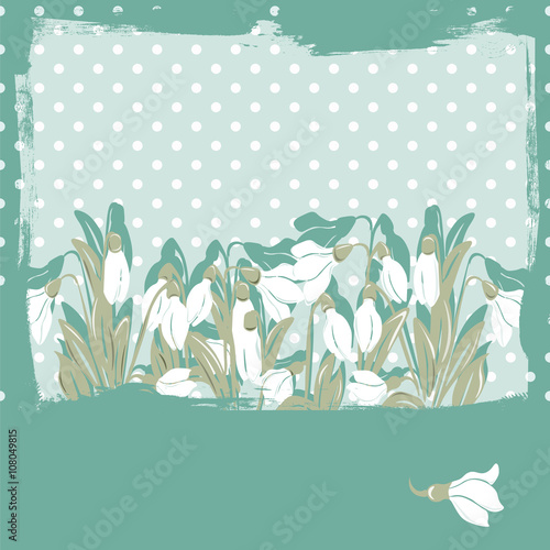 Snowdrop flowers Blossom spring card. Vector spring background.Calligraphic f...